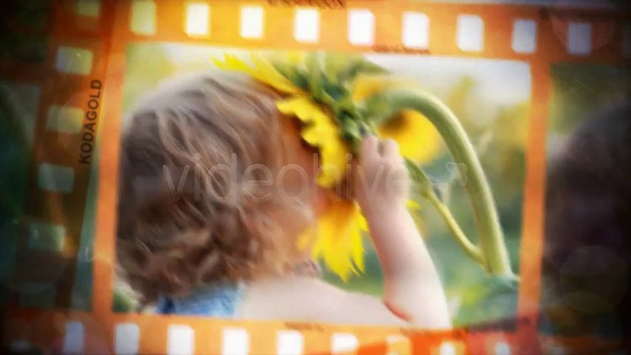 Light Table Gallery - After Effects Template