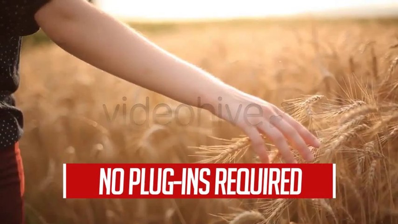 Solid Lower Thirds - After Effects Template