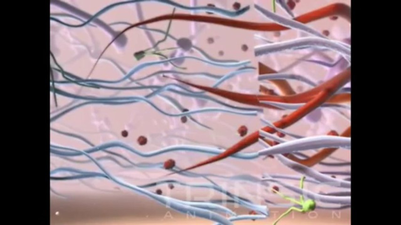 Core Matrix Medical Animation