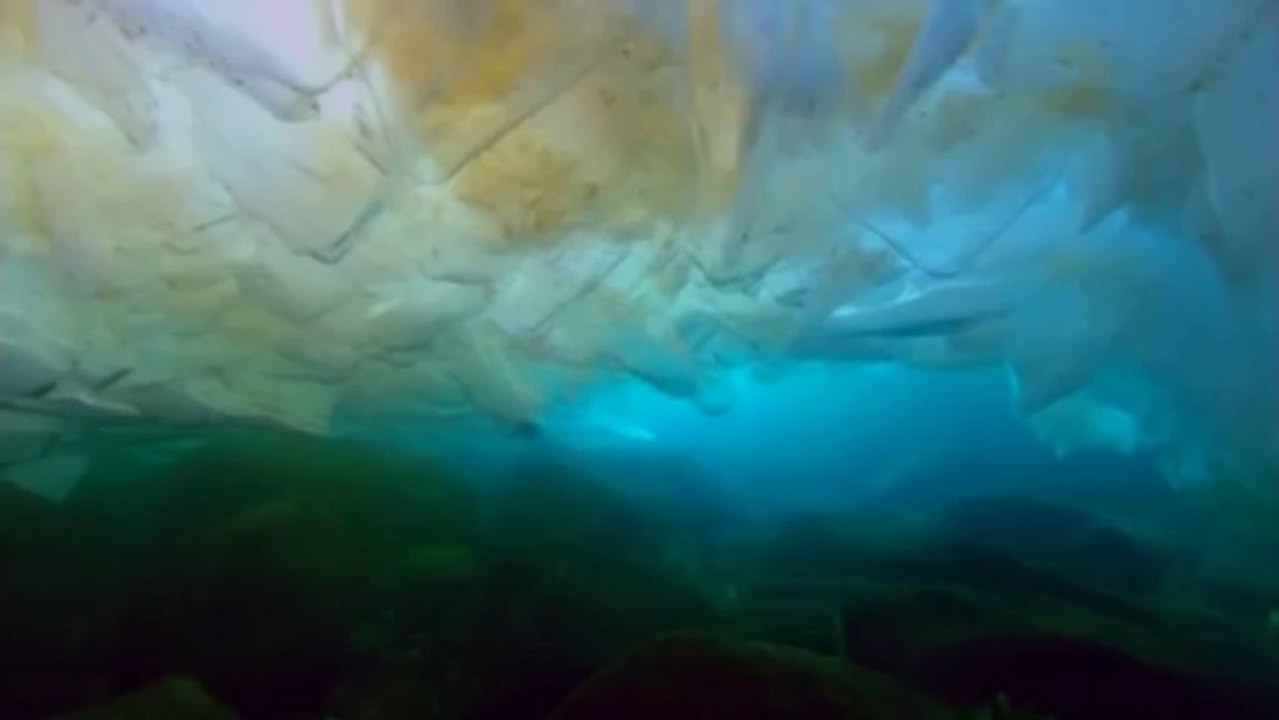 Grup Yeniçağ - Ya Hayy