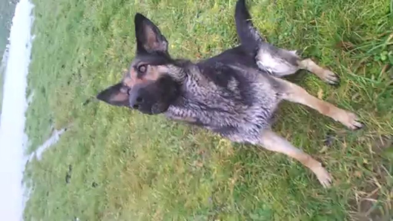 Gwen jeu à la balle