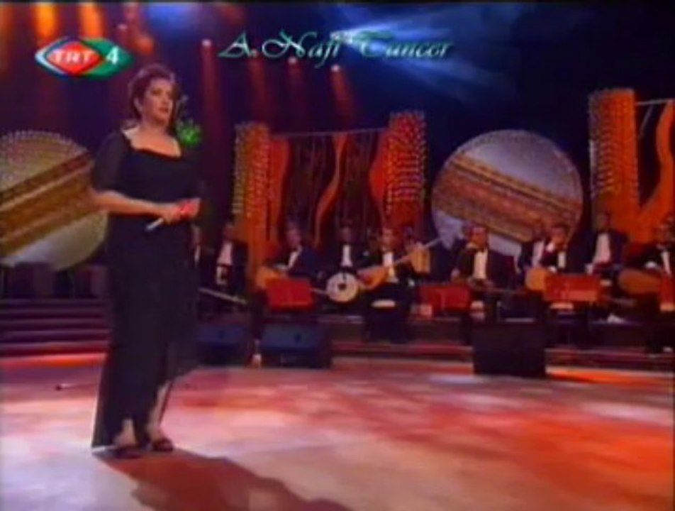 Aysun GÜLTEKİN-Duman Duman Olmuş Karşıki Dağlar (U.H)-3