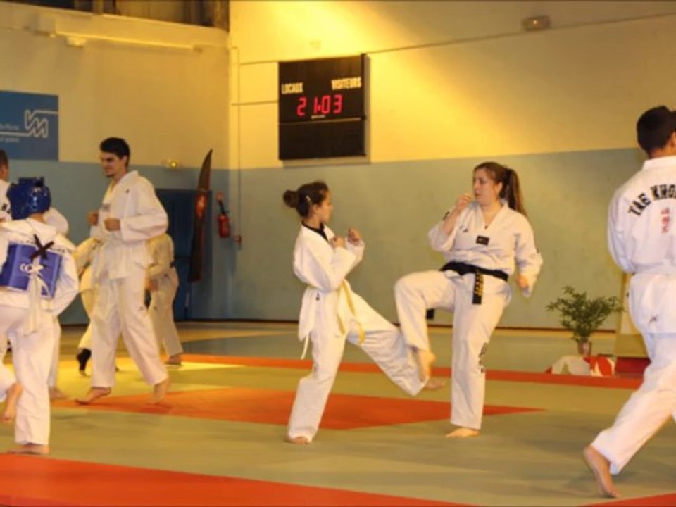 taekwondo téléthon  0612 2013 alfortville