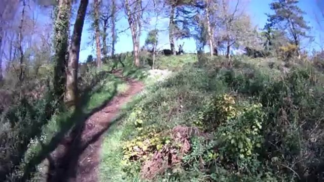 Rando du Printemps à St Laurent sur Sèvre 2013.