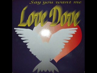 LOVE DOVE - Say you want me (d-work version)