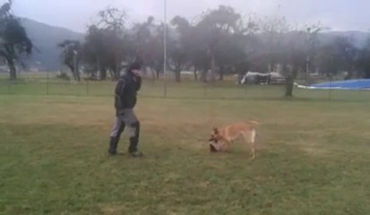 Be Aware Cobra-Training-12-2013