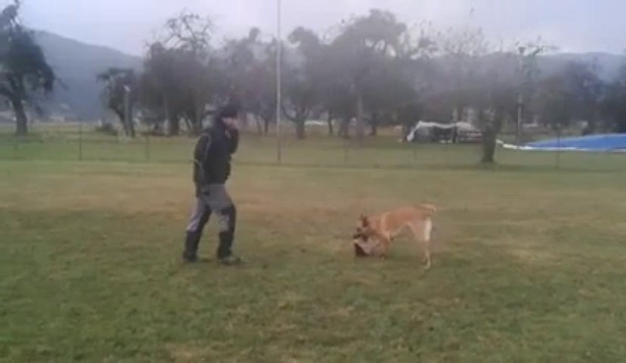 Be Aware Cobra-Training-12-2013