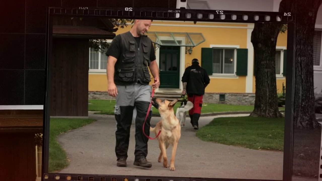 Be Aware Cobra @ BH mit Verkehrsteil