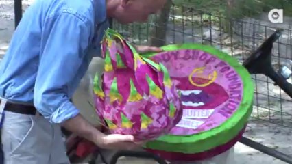 The Body Shop Foundation Visits Big Cat Rescue!