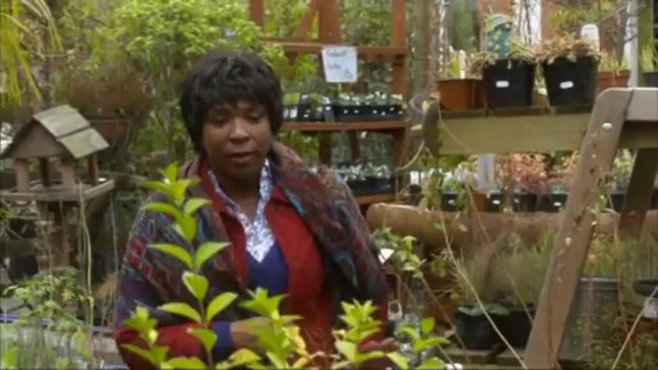 BBC Doctors Series 14 Episode 208 With or Without You 11/03/13