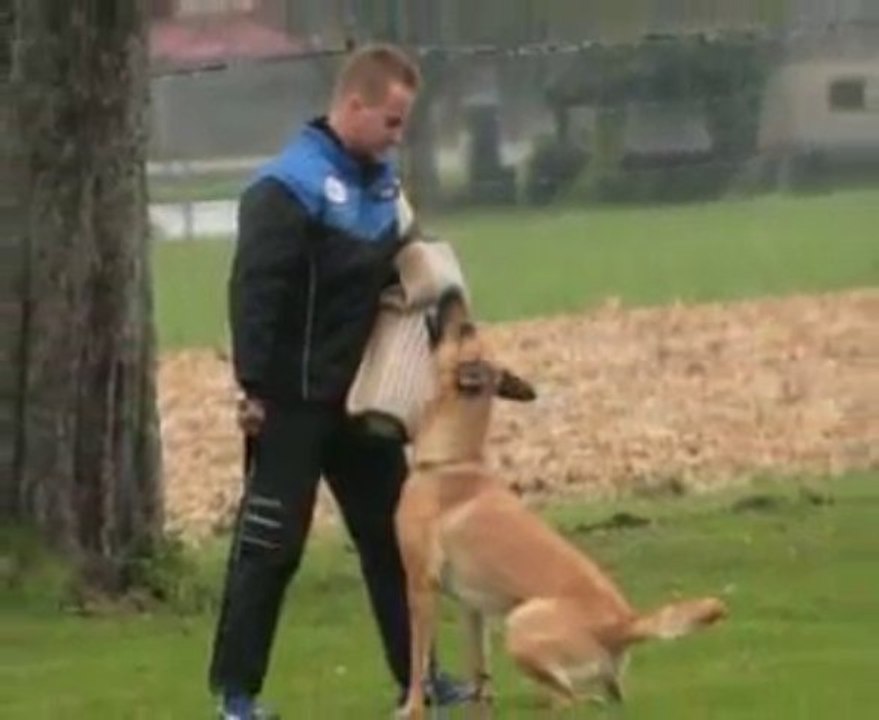 Be Aware Cobra @ IPO-1