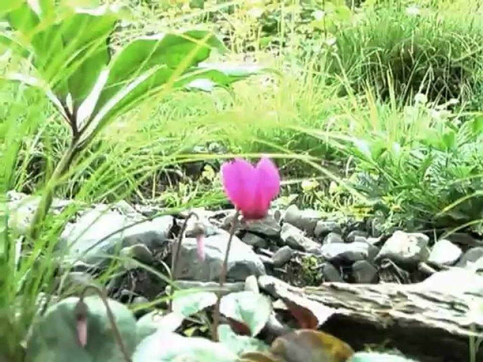 La valle del freddo video amatoriale di Clarari Luciano
