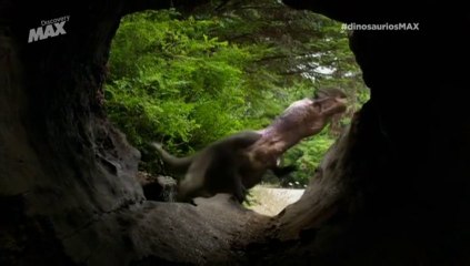 El reino de los dinosaurios III: Tacticas para la supervivencia