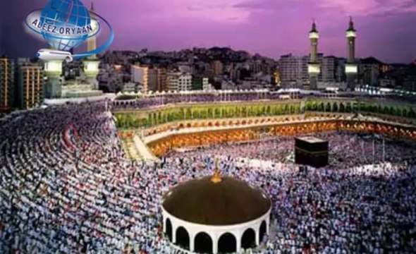 Aleez Oryan Travel & Tours (Pvt.) Ltd.