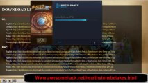 Hearthstone Beta Keys Tutorial  Proof