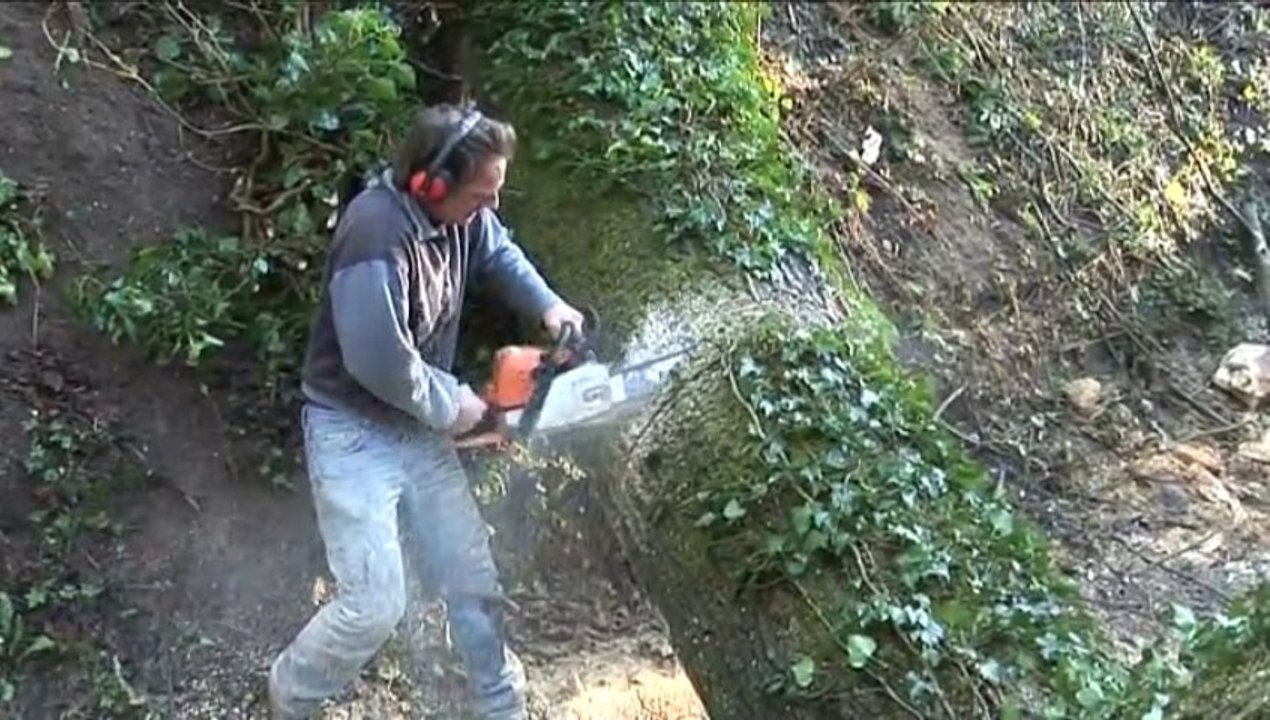 Bucherons d'Auvers-sur-Oise