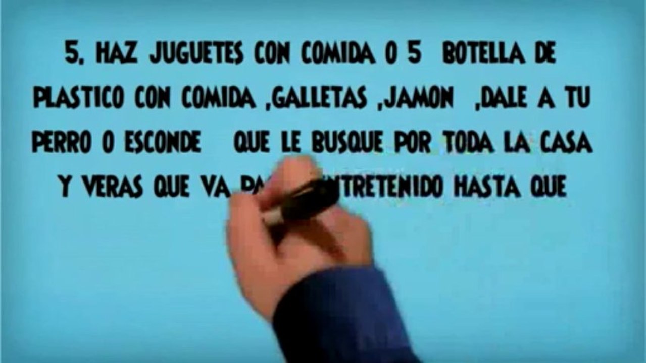 Como Prevenir Ansiedad Por Separacion En Perros