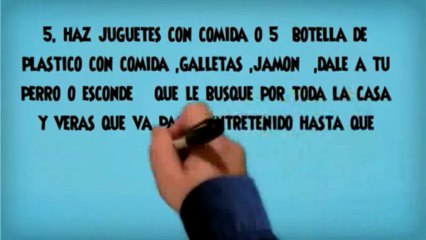 Como Prevenir Ansiedad Por Separacion En Perros