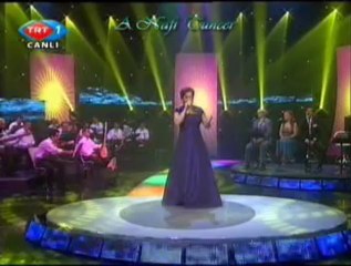 Aysun GÜLTEKİN-Ben Melâmet Hırkasını (Kime Ne?)