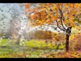 ameer chaman pashto 2012 song