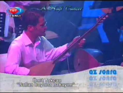 Aysun GÜLTEKİN-Dam Üstünde Çul Serer-1