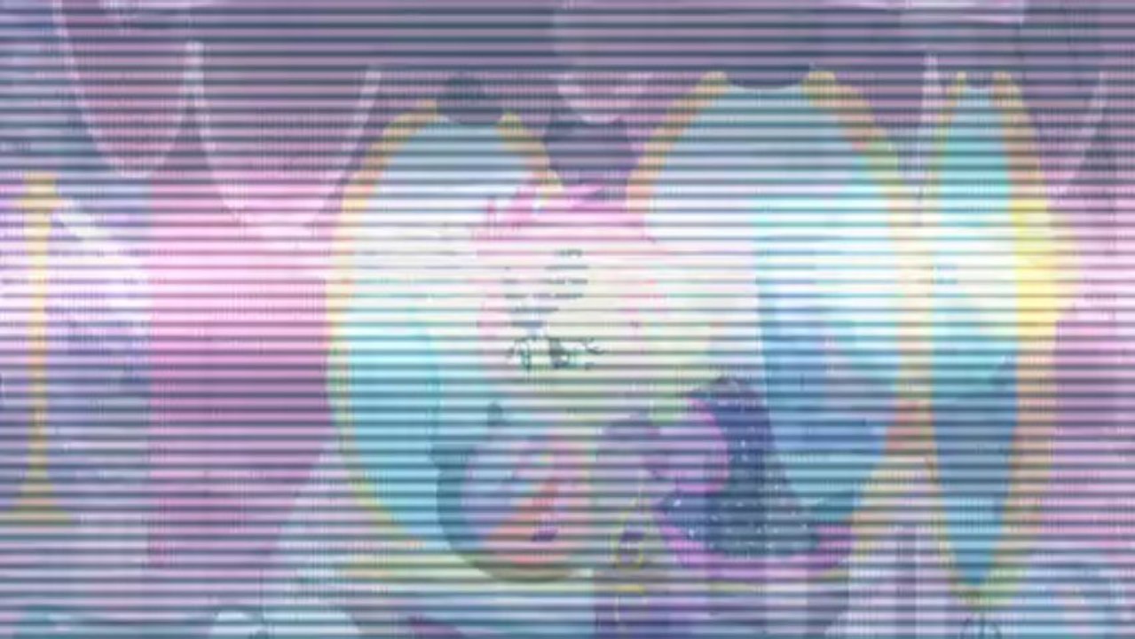 PMV - Fluttering Star