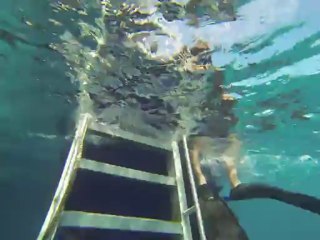 Australie- Queensland: Grande Barrière de Corail