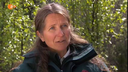 Im Zauber der Wildnis (Teil 2)