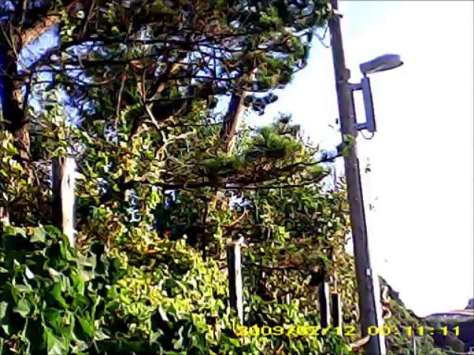 福岡市