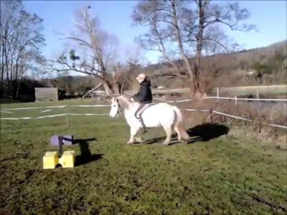 speedy