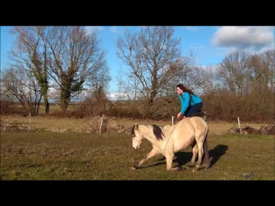 Kitsu - Travail en liberté décembre 2013