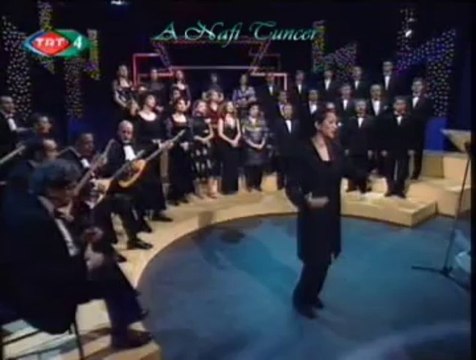 Aysun GÜLTEKİN-Kesik Çayır Biçilir Mi?