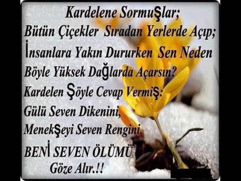 cevdet bağca && ben seni yasaklarda sevdim