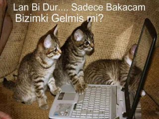 hüseyin altın  &&  bitermi sandın