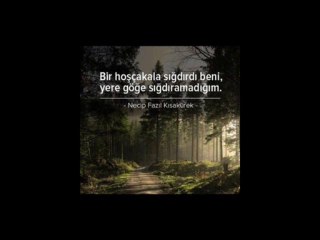 taner  && affetmedim kendimi