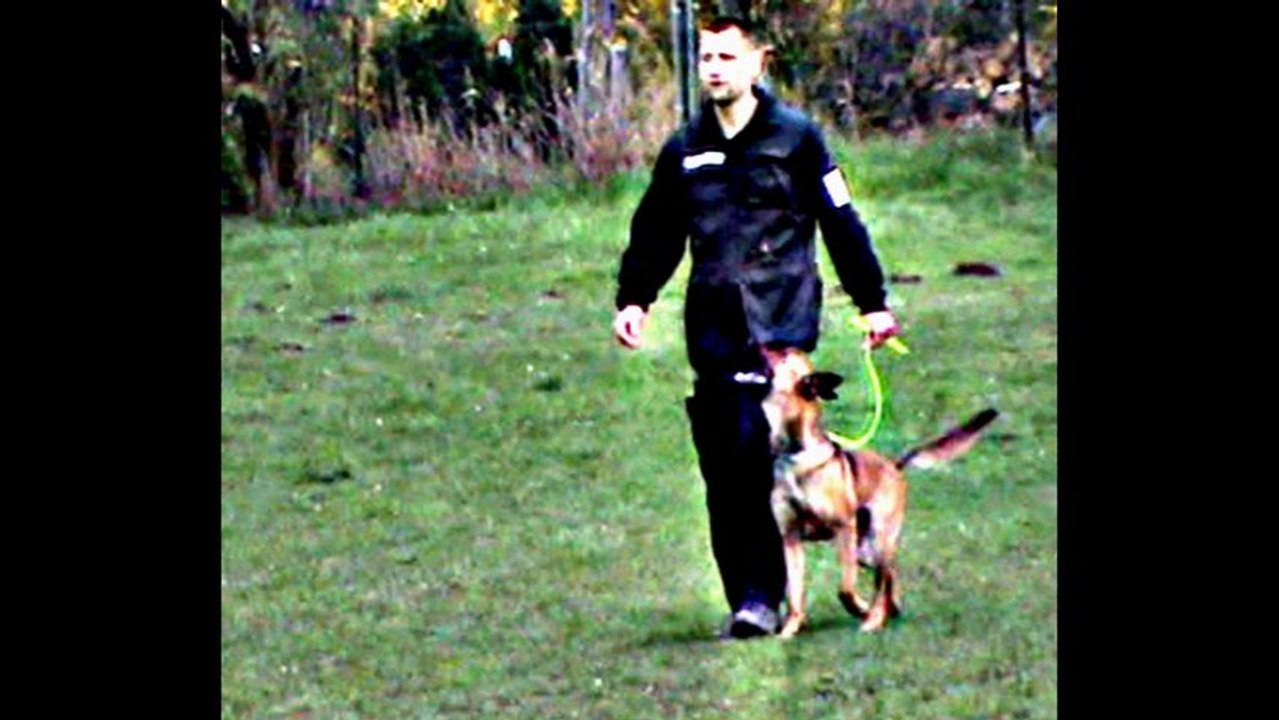 Be Aware Dope @ NÖ-LM 2013 -  BGH1