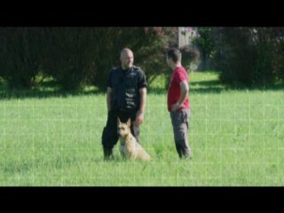 Be Aware Cobra @ IPO-2 Tracking