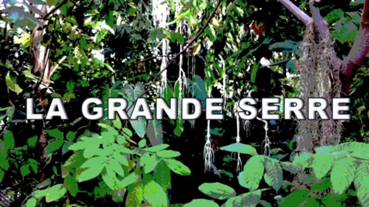 LA GRANDE SERRE