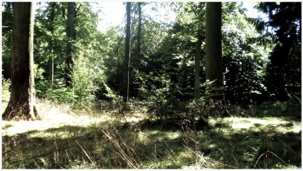 RAVAT PASCAL  MA VISION ZOOM 2     2013