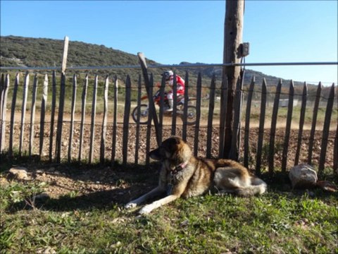 MONTELIMAR Nov. 2013 ! Au pays des Sauterelles ! du moto-cross génial avec des jeunes ! beau spectacle, même pour une toutoune comme moi.