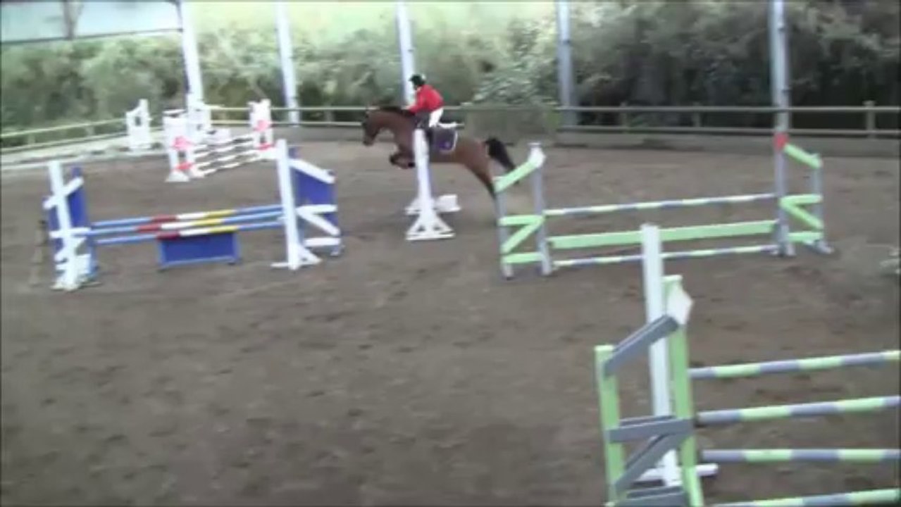 Rapido et Pierre-Louis 29/12/13 P2 Guilers