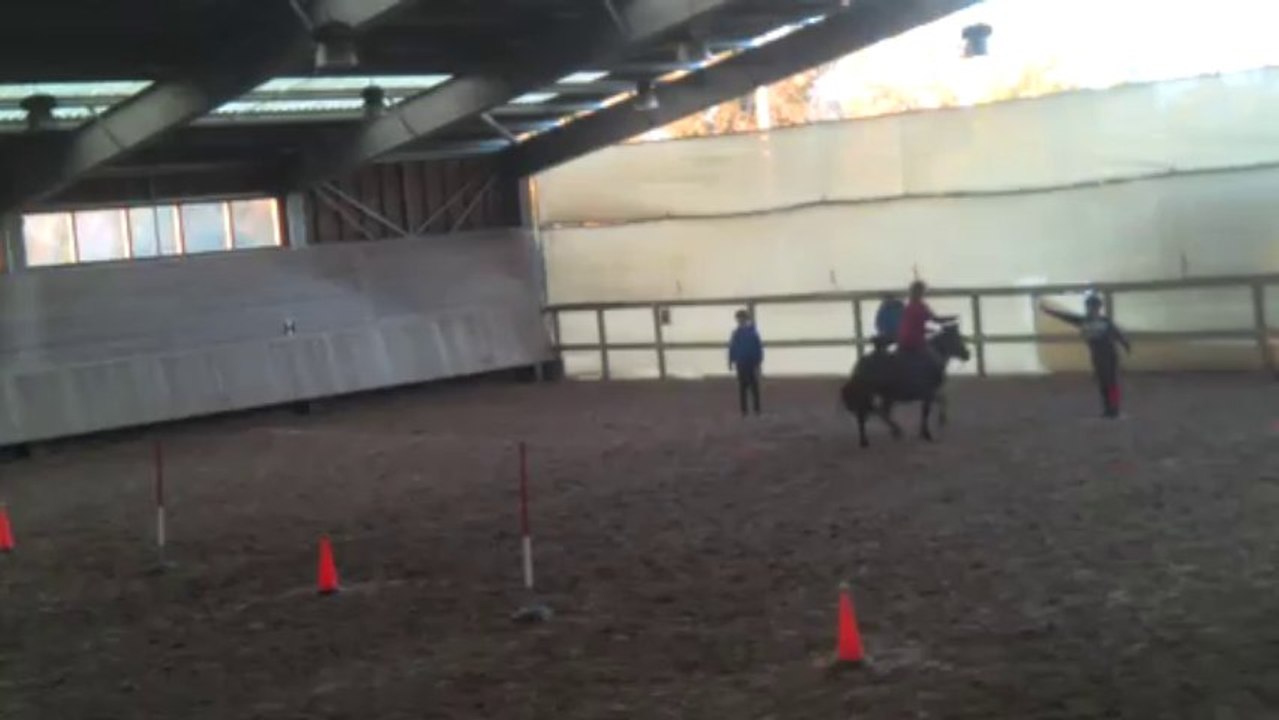 PONY GAMES