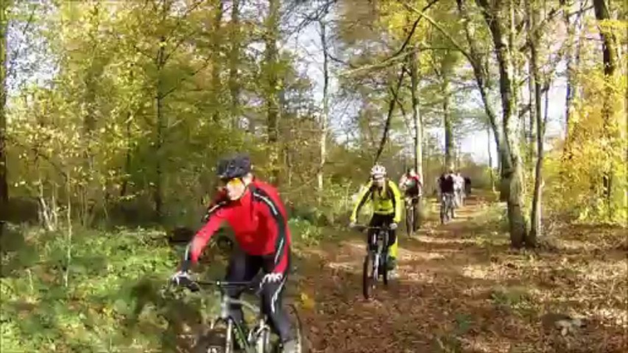 Sortie VTT bois Chatenois 09/11/13 06r-02