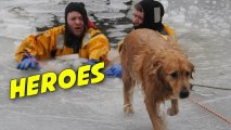 Heroic Firefighters Rescue Dog Trapped in Icy River