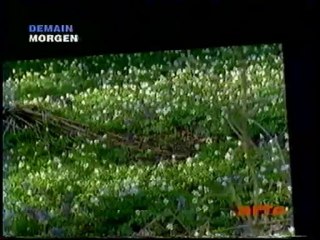 Arte 23 Décembre 2002 2 B.A., Grand Format