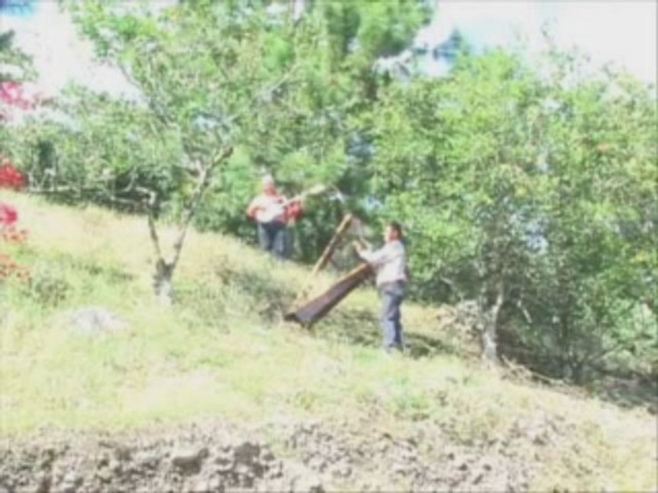 EL CARRAO DE PALMARITO