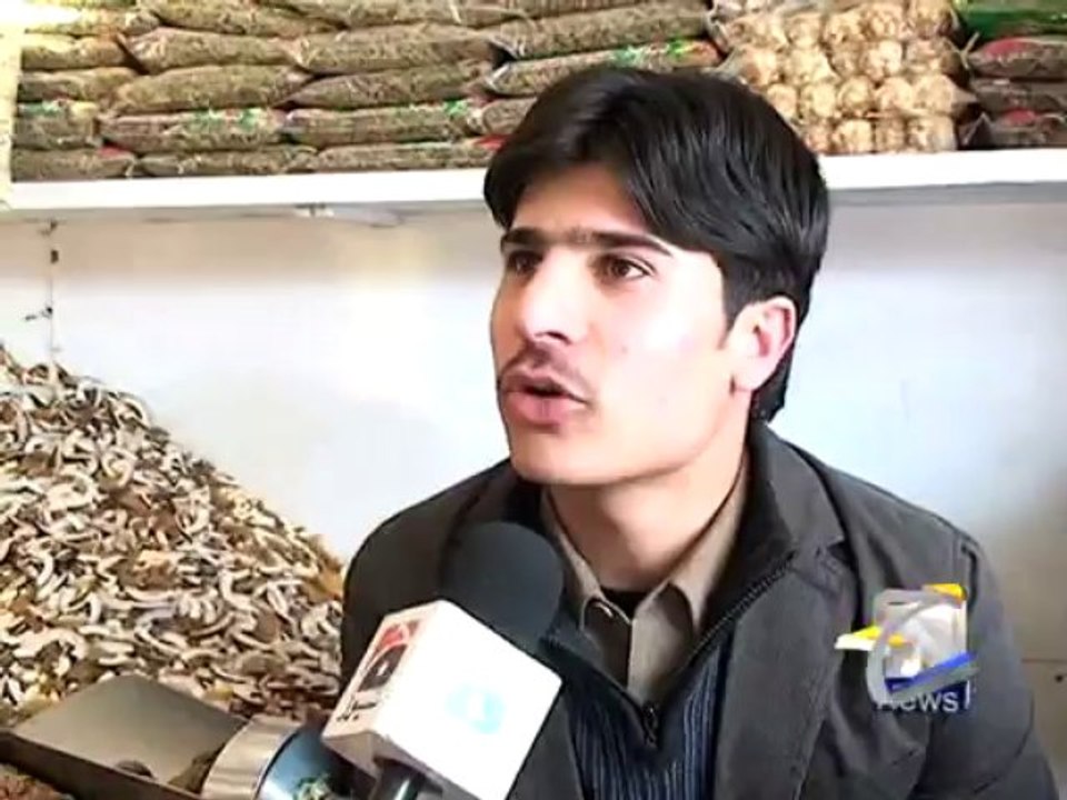 Swat Walnut-30 Dec 2013