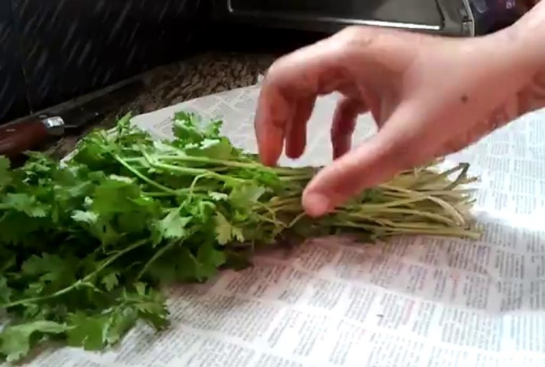 how to store leafy vegetables fresh for 10 days