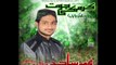 Ujale Kiun Na hon Dewar o Dar mai By Muhammad Sajid Javed Sultani*New Album 2014* (Karam Ki Jot) Rabi-ul-awal Special