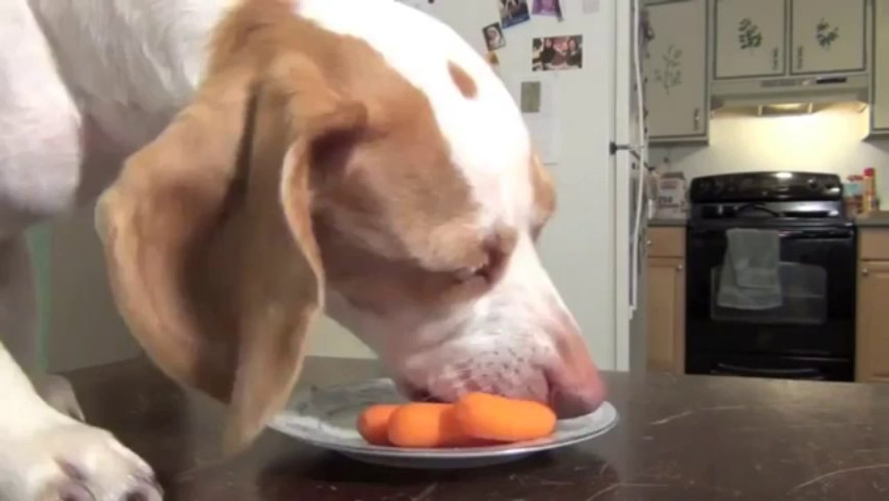 RQP888.Ｃ0Ｍ♣카지노주소❤헬로카지노❤헬로우바카라❤헬로바카라추천❤바카라주소❤헬로우싸이트❤헬로우월드카지노주소❤카지노주소❤헬로월드카지노❤우리헬로우카지노사이트❤우리헬로카지노추천❤우리카지노❤우리카지노주소❤코리아카지노❤브라보카지노❤엔젤카지노❤강남카지노❤빅브라더카지노체험❤와와카지노추천❤에이플러스카지노노하우❤카지노주소❤바카라주소❤카지노추천❤바카라추천❤바카라싸이트❤카지노싸이트❤다모아카지노추천❤바카라주소❤인터넷카지노❤인터넷바카라싸이트❤강원랜드카지노❤우리카지노싸이트❤